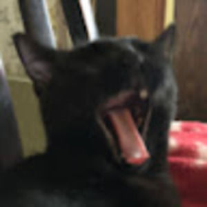 Meet your Posher, Eston